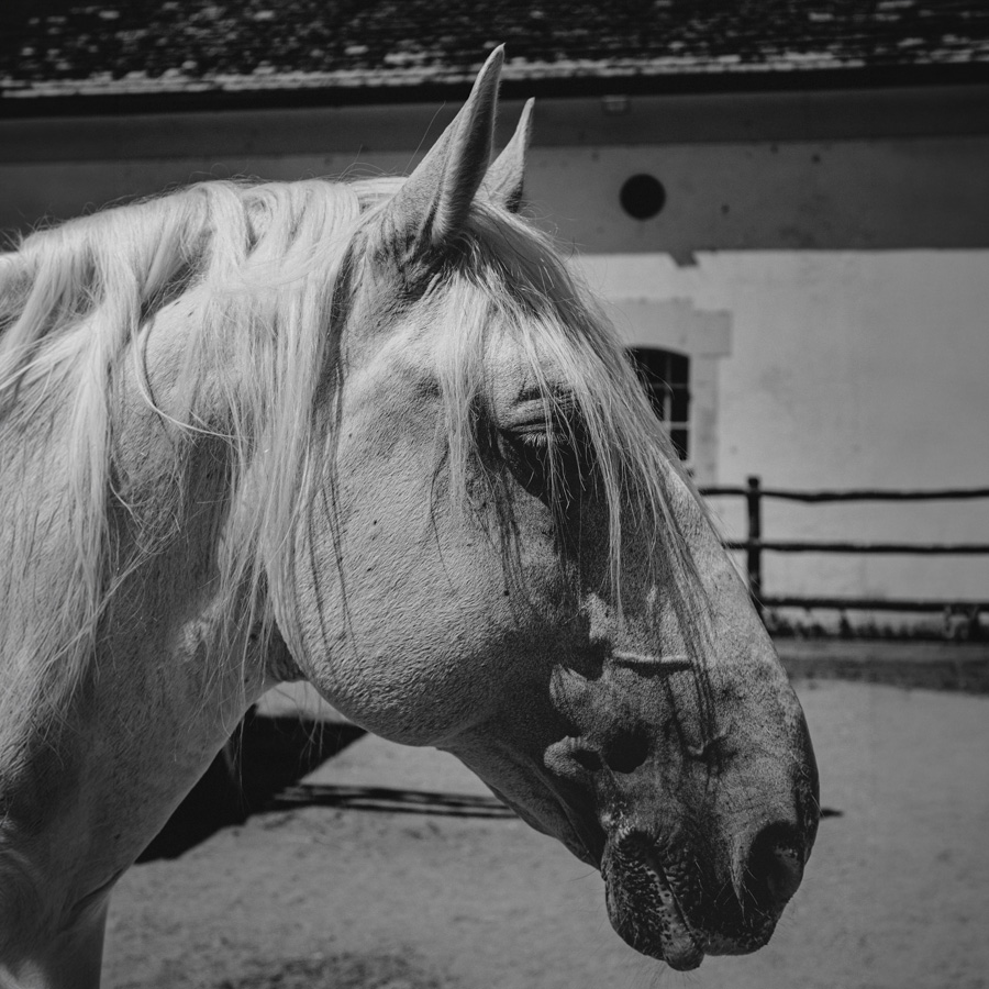 Portrétna fotografia 3